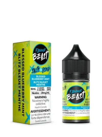 Flavour Beast E-Liquid - Blessed Blueberry Mint Iced 20mg/30mL